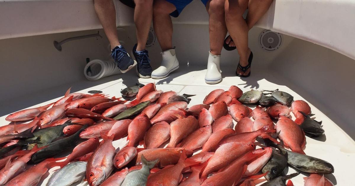Court rules against feds in charterboat case