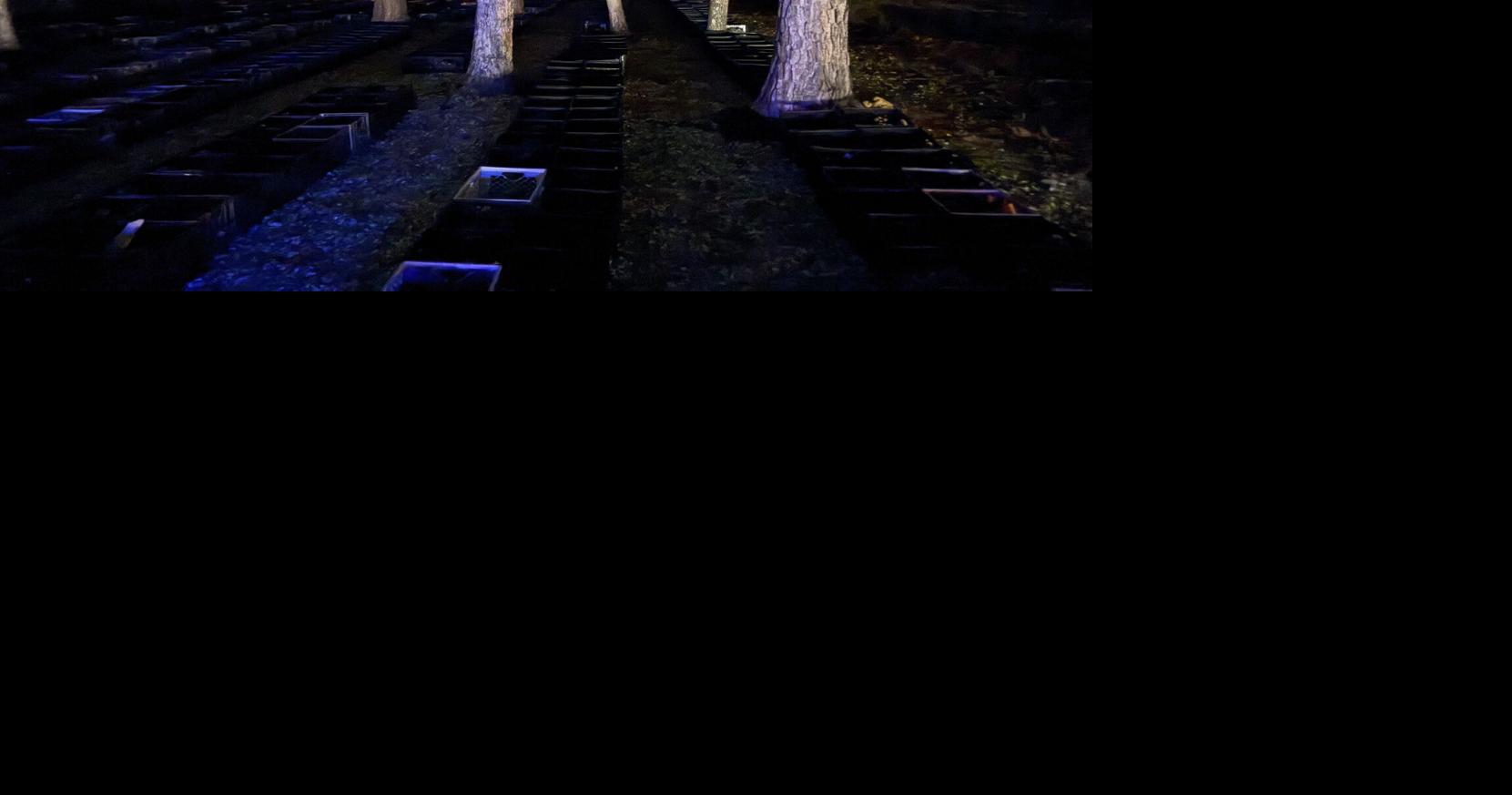 Louisiana rock farm offers one last glowing nighttime hunt in 2026 Oct 27, 2026 10 mins ago 3 min to read
