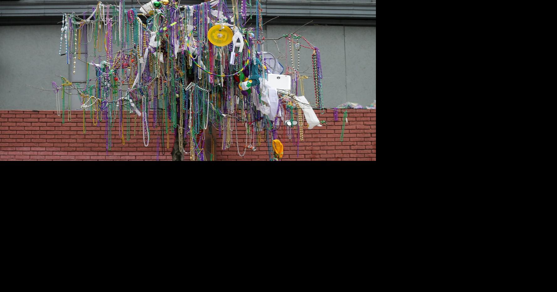 Guest Column: Trash audit is the first step to a more sustainable Mardi Gras