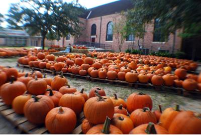 St Tammany Entertainment Calendar For Oct 12 18 St Tammany