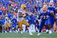 No Love Lost In Football Rivalry Between Lsu And Florida It S