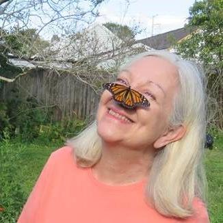 Linda Auld made monarchs a mission. Now she's being honored. | Home/Garden - Vimarsana News