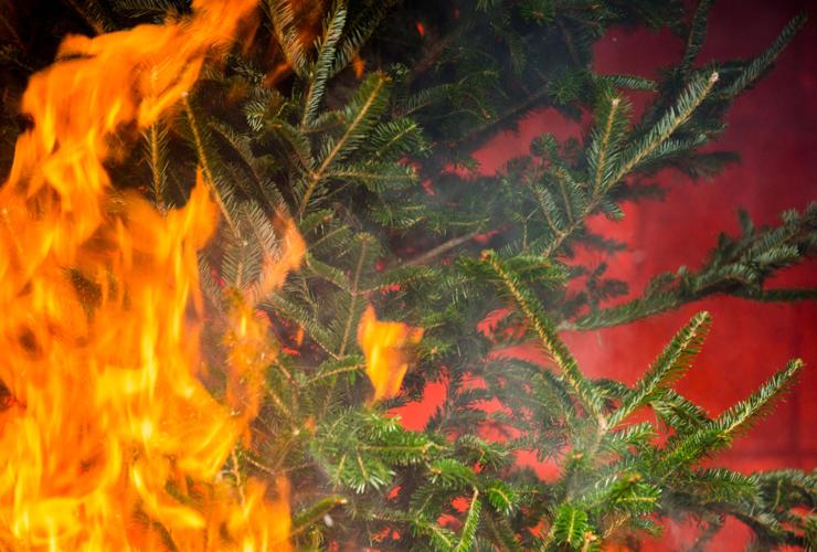Christmas trees can be a serious fire risk, make house blazes deadly