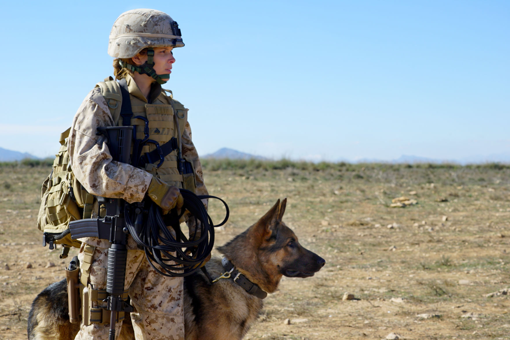 Movie review: 'Megan Leavey' is a true story that inspires