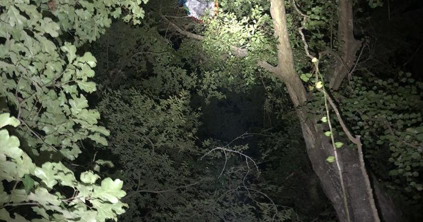 Paraglider crashes into tree, calls firefighters while stuck 50 feet up in the air