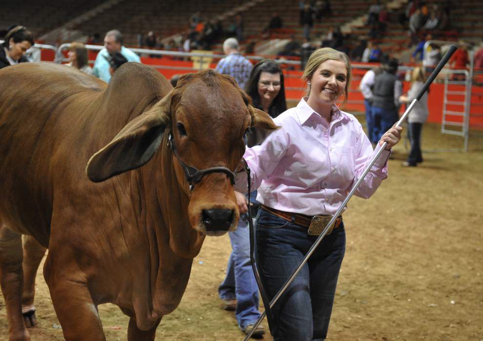 Photos: Lafayette 4H Livestock SHow _lowres