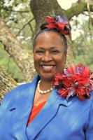 Two state House members, community activist seek vacant District 15 seat in state Senate _lowres