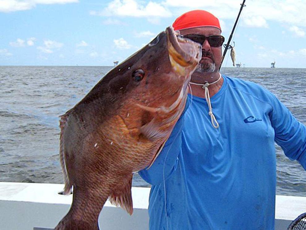 Mangrove Snapper — the most user-friendly saltwater sport fish - Bassmaster