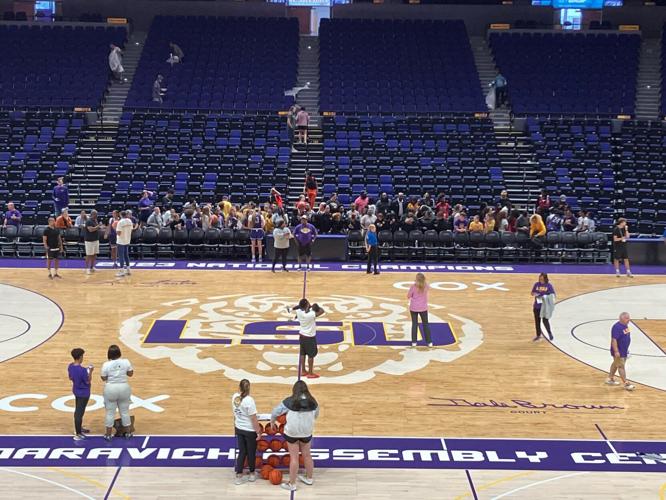 Dale Brown Sue Gunter names separate on LSU court LSU theadvocate com
