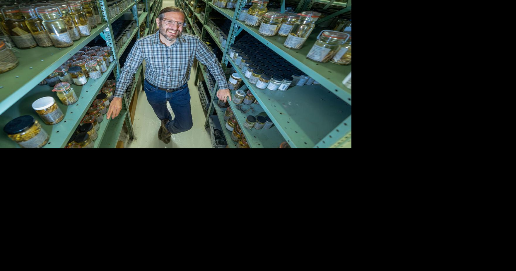 There are 8 million fish in a World War II bunker outside New Orleans. More arrive soon.