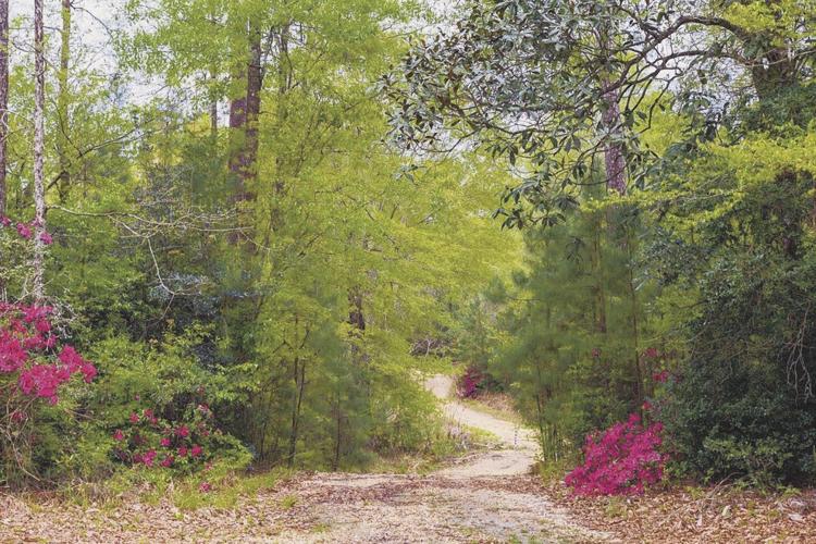 10296 Highway 190, Hammond