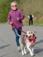 Photos: Walk-N-Wag 5k/1 Mile Walk or Run was held at Waggin’ Train Vet Clinic.