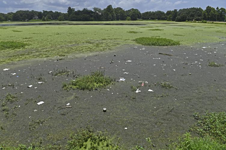 Baton Rouge is getting trashier Garbage, litter at alltime high
