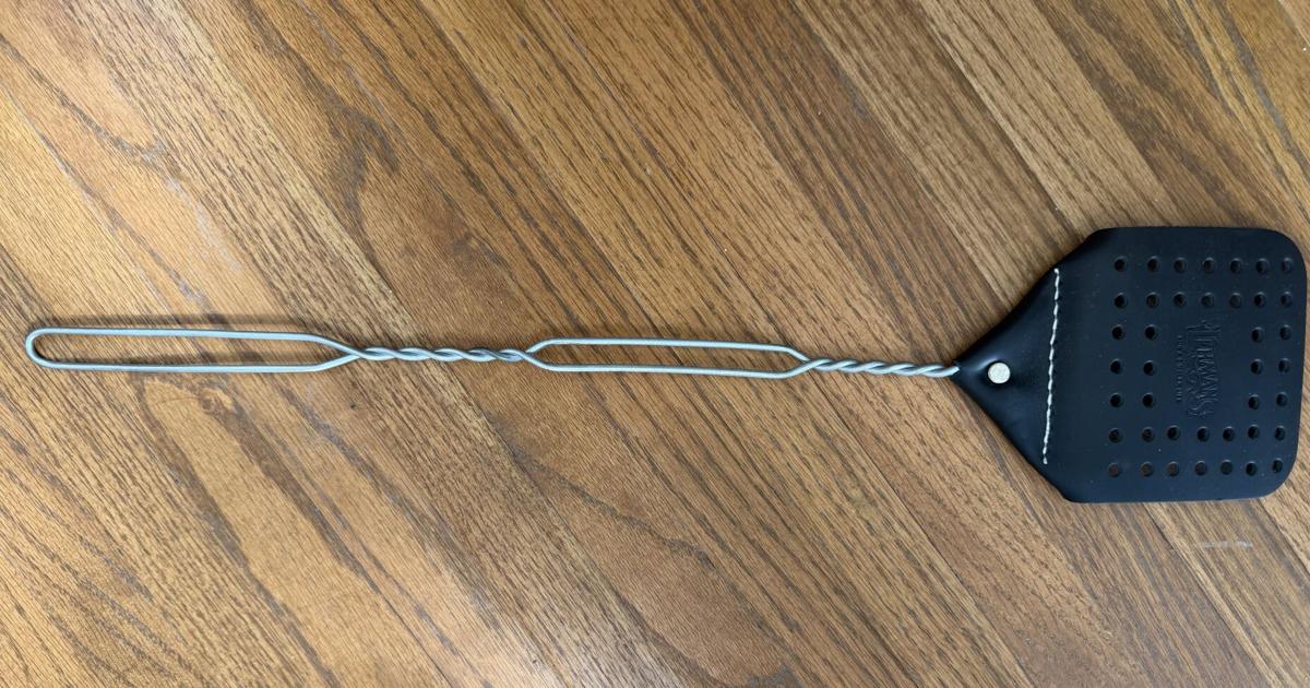 Louisiana has flies. Apparently, I needed a $10 leather flyswatter.