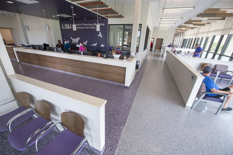 More space for vets and pets New 40,000foot veterinary clinic opens