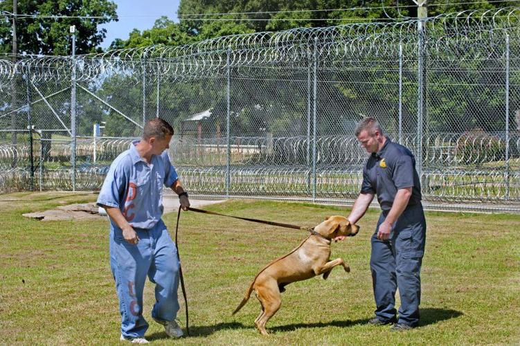 Dixon Correctional's 'Pen Pals' program rehabilitates pets... and