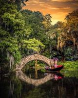 New Orleans City Park photo contest winners capture beauty of an urban oasis