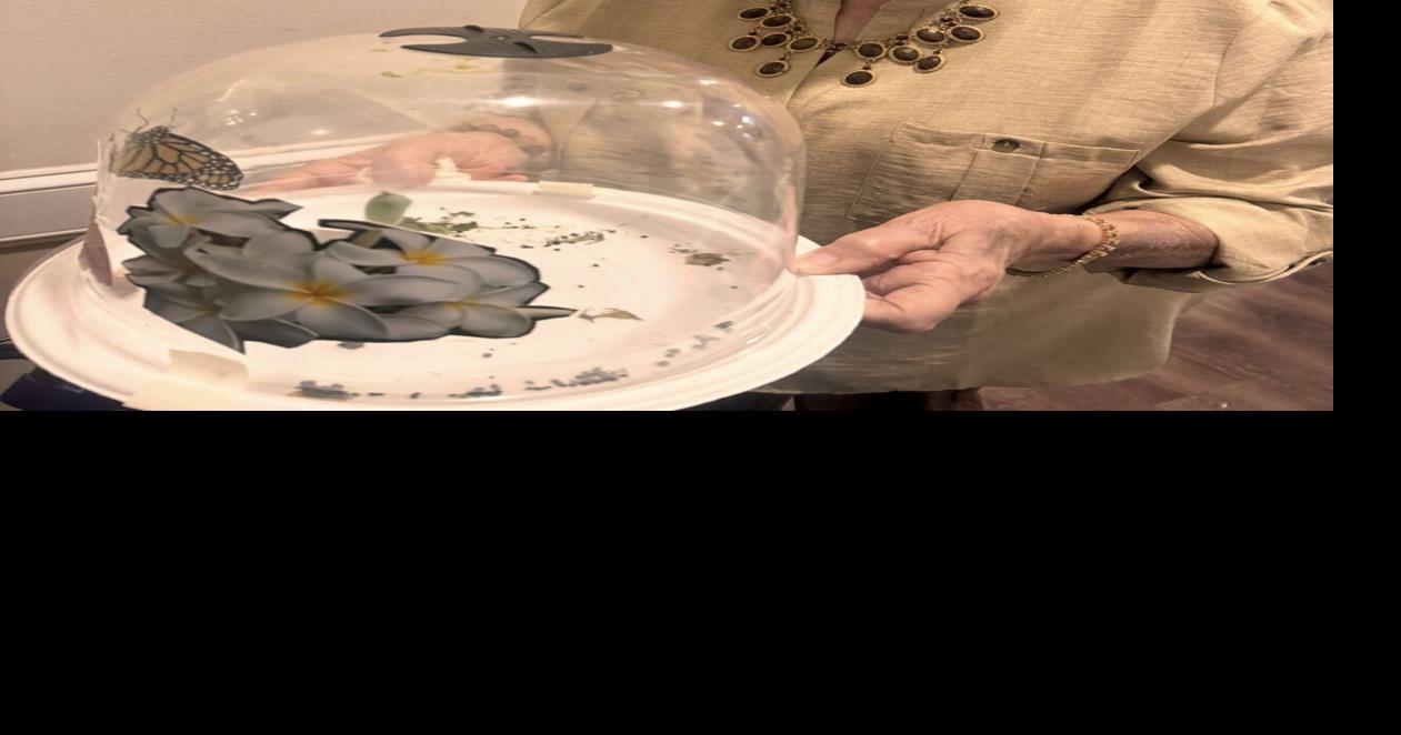 Where monarchs take flight: The Vincent Senior Living residents create a butterfly haven, with big expansion plans
