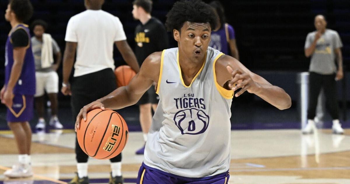 LSU basketball has its first freshman to enter the transfer portal under ...