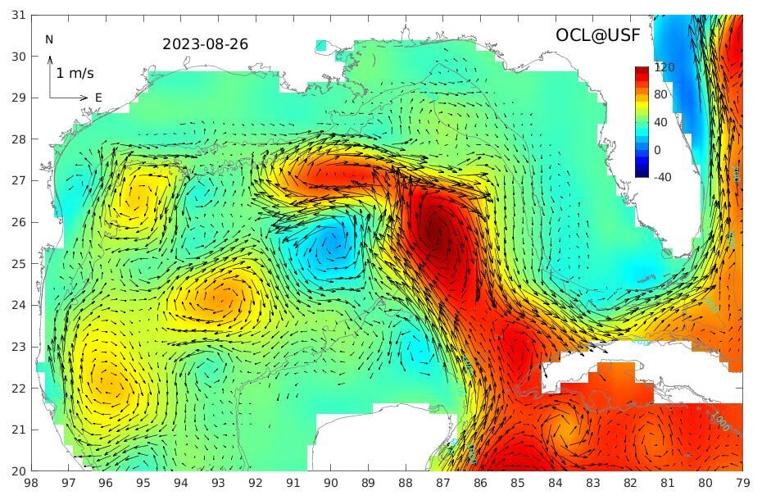 Loop current