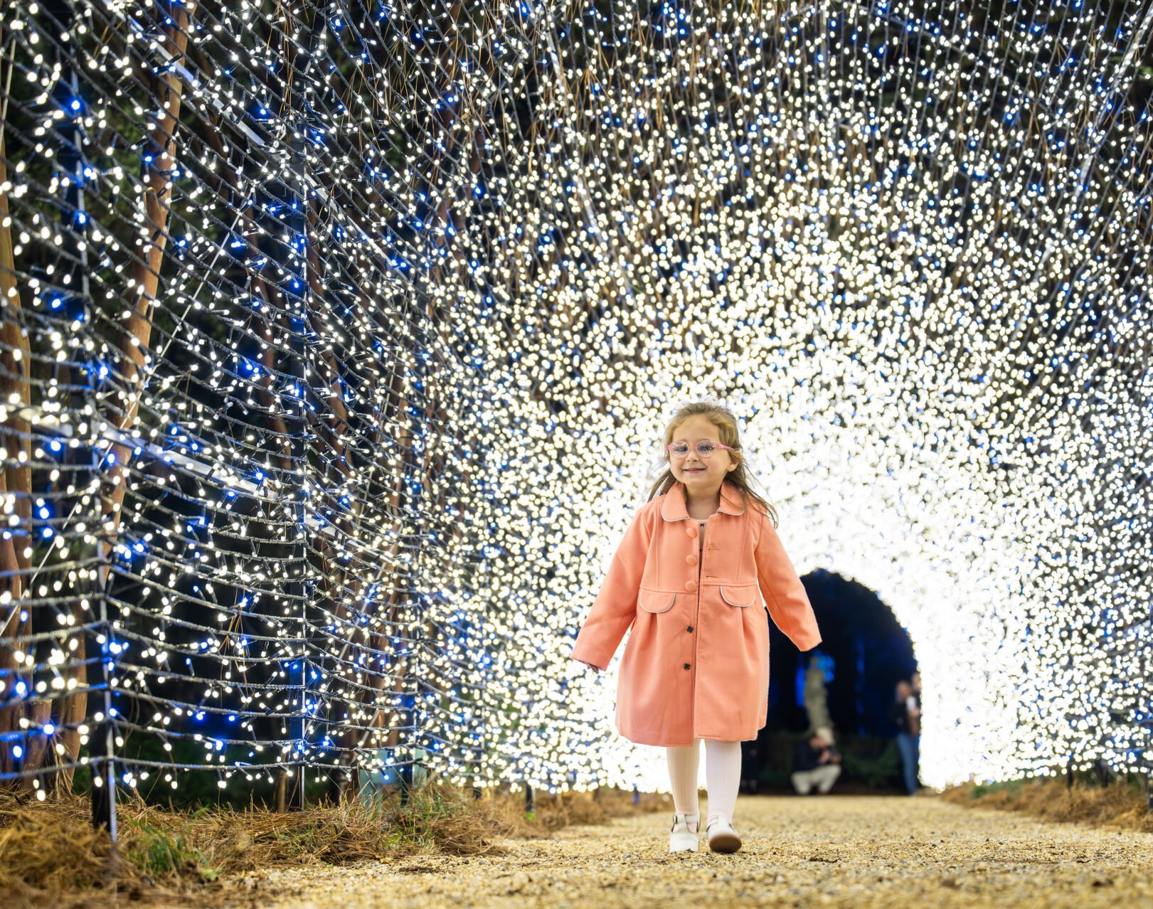 6740e11d59144.image.jpg?crop=