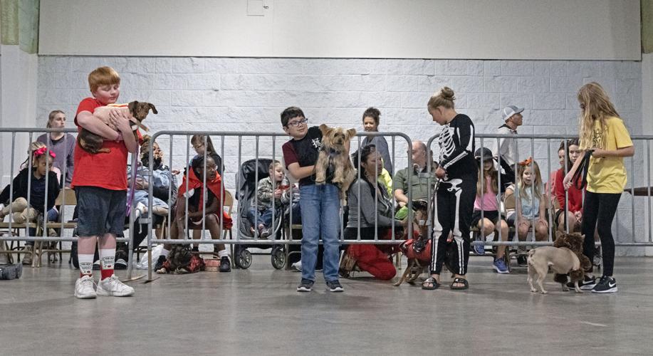 Pets and pumpkins are costumed by owners at 4H Pet Show in Gonzales