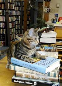 Used Book Store Alexander S Books For Sale May Close Business Theadvocate Com