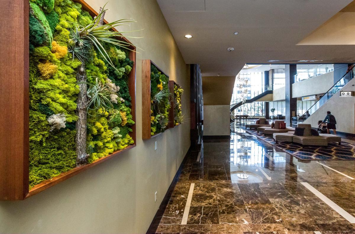 Fancy plantscaping or simple potted plant, greenery brightens the