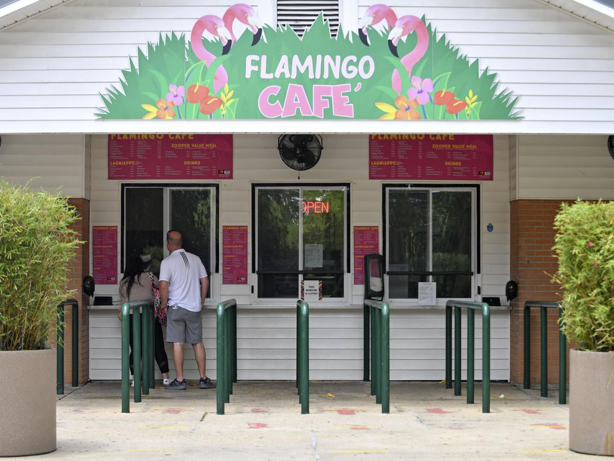 Even with coronavirus restrictions, Baton Rouge Zoo still