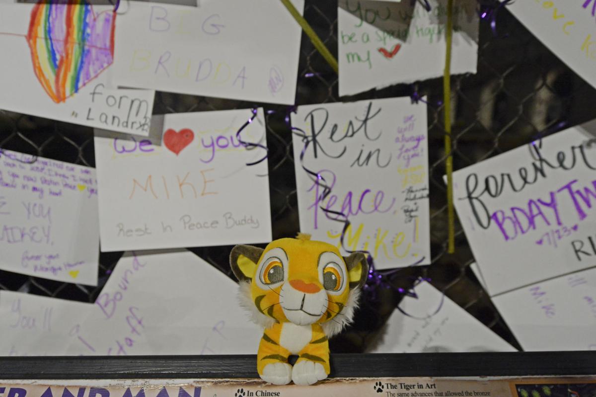 BR.MikeDeath.101216 HS 910.jpg