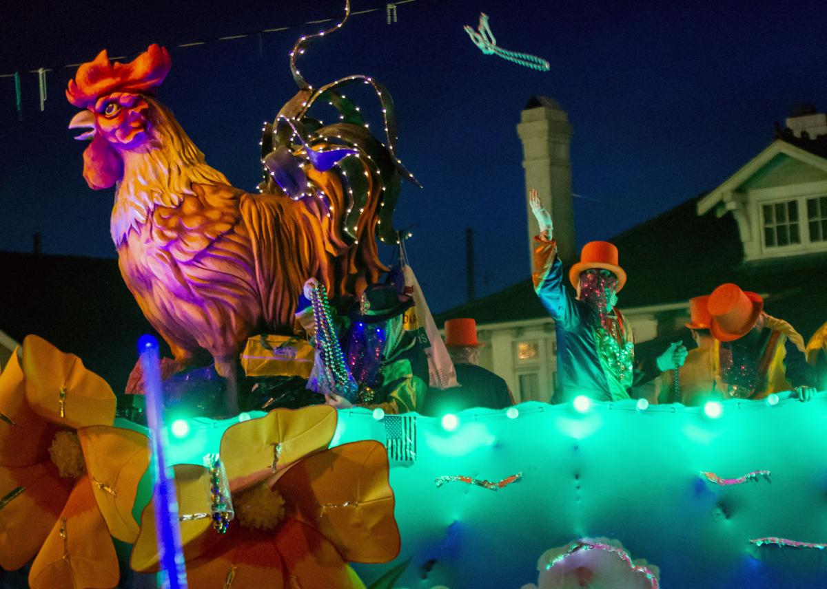 NO.endymion2973.021118.jpg