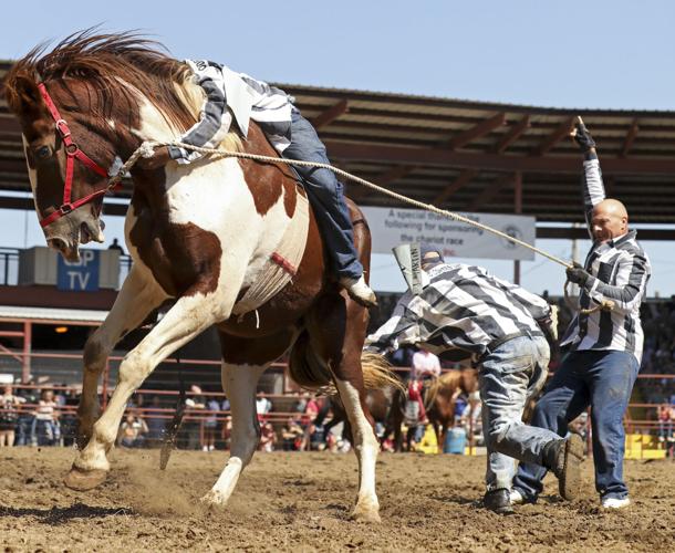 Angola Rodeo rides again Two dates left for 2022 St. Francisville