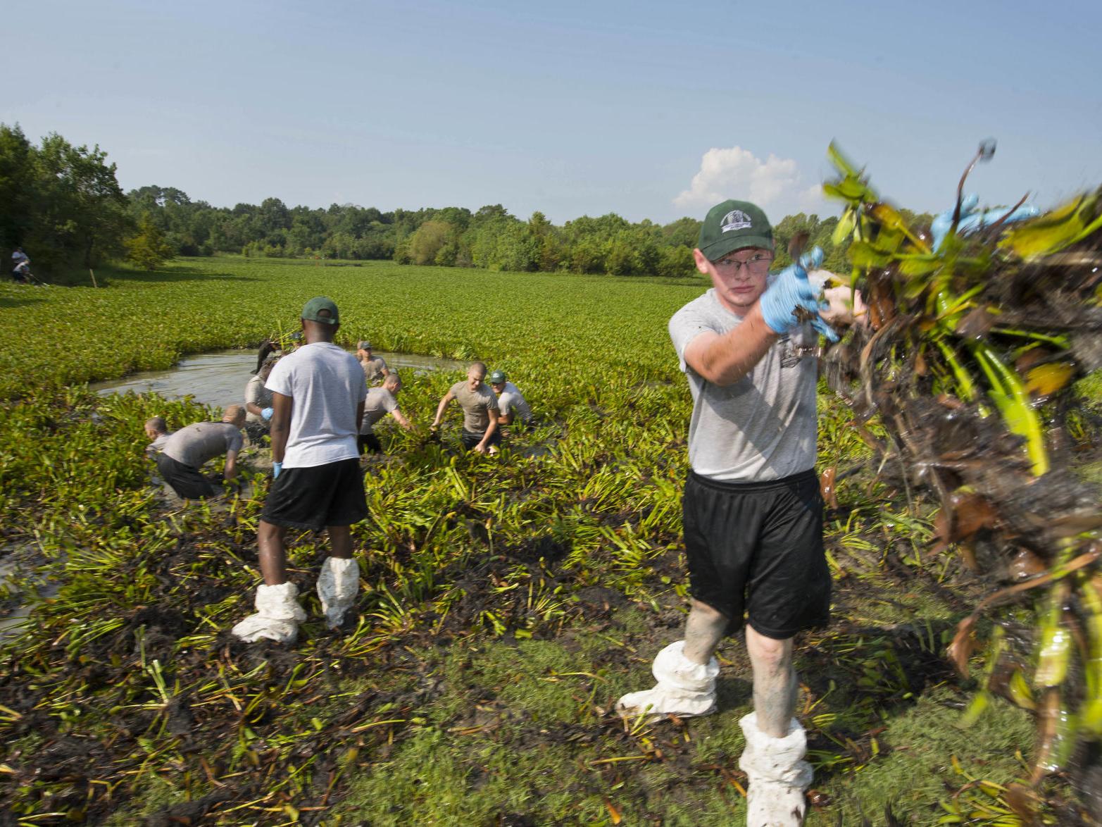 Water Hyacinth Menace Meets Its Match As Baton Rouge Area Volunteers Take Aim At Invader News Theadvocate Com