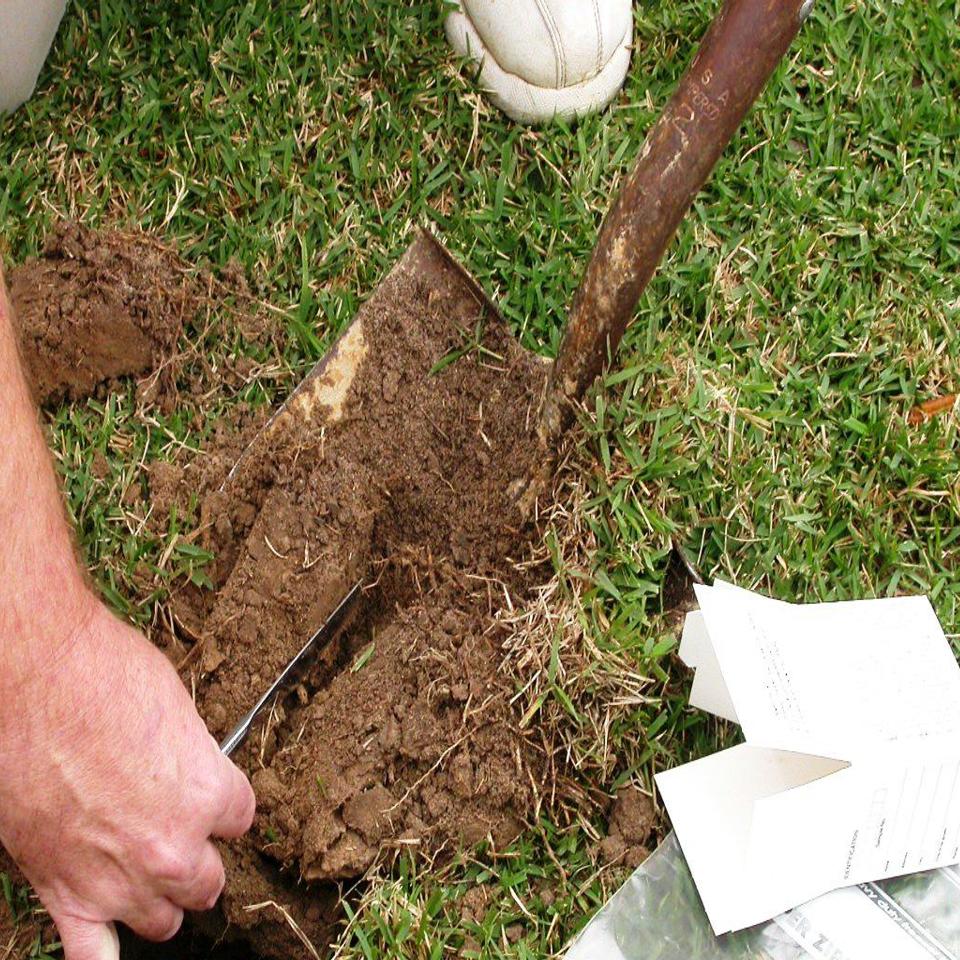Digging In To Get Expert Advice On A Better Lawn Or Garden Mail