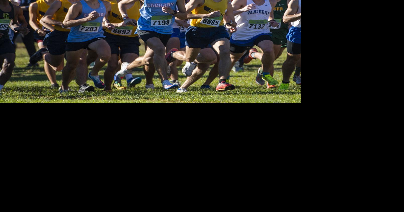 New regional format sets up intriguing possibilities for LHSAA Cross