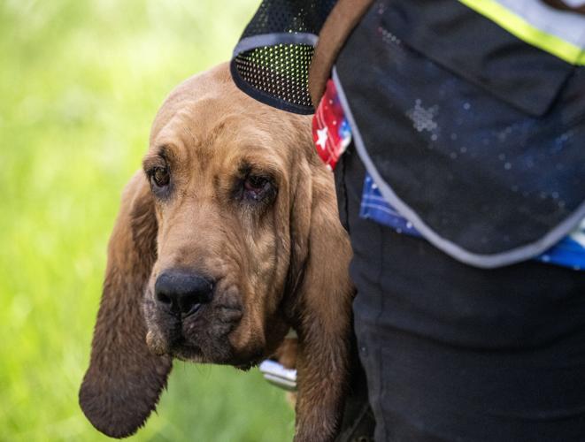 BR.caninesearch.062326_2119 MJ.JPG