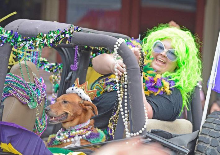 Photos Krewe des Chiens rolls, barks and sniffs Saturday in Lafayette