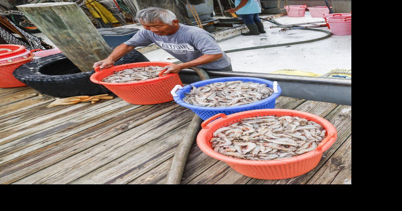 Louisiana Legislature considers more ways to toughen rules for foreign seafood