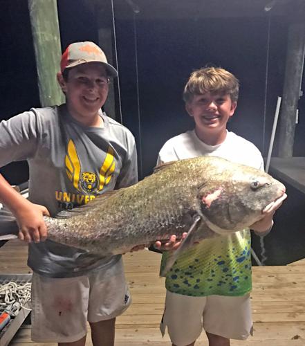 Adventuresome Trip For Youngsters Fathers Includes Gafftopsail Catfish Marlin Sports Theadvocate Com