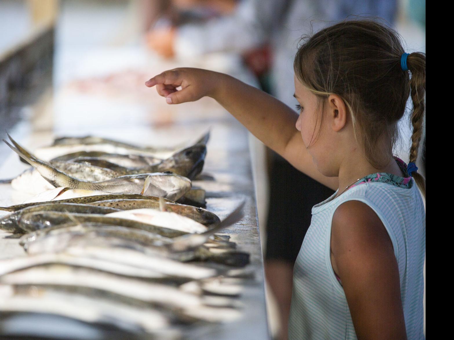 Macaluso Not Sure If Putting Off New Trout Regulations Was The Right Move Louisiana Outdoors Theadvocate Com