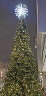 BR.christmastree120322 01.JPG