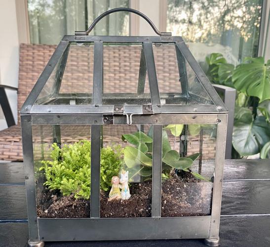  Large Tall Plant Greenhouse Terrarium Glass with Lid