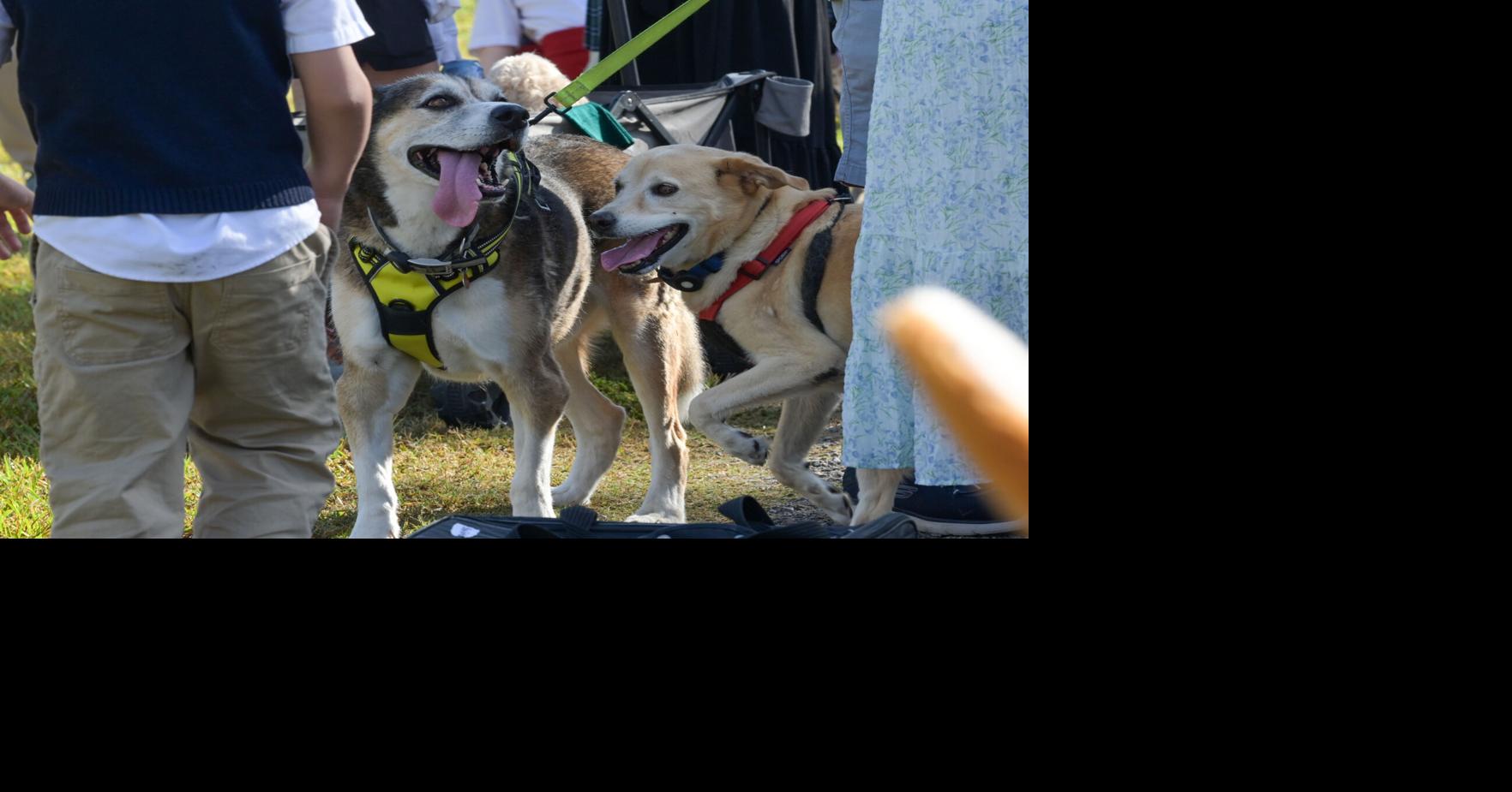 Photos: Blessing of the Pets at Academy of the Sacred Heart and Berchman's