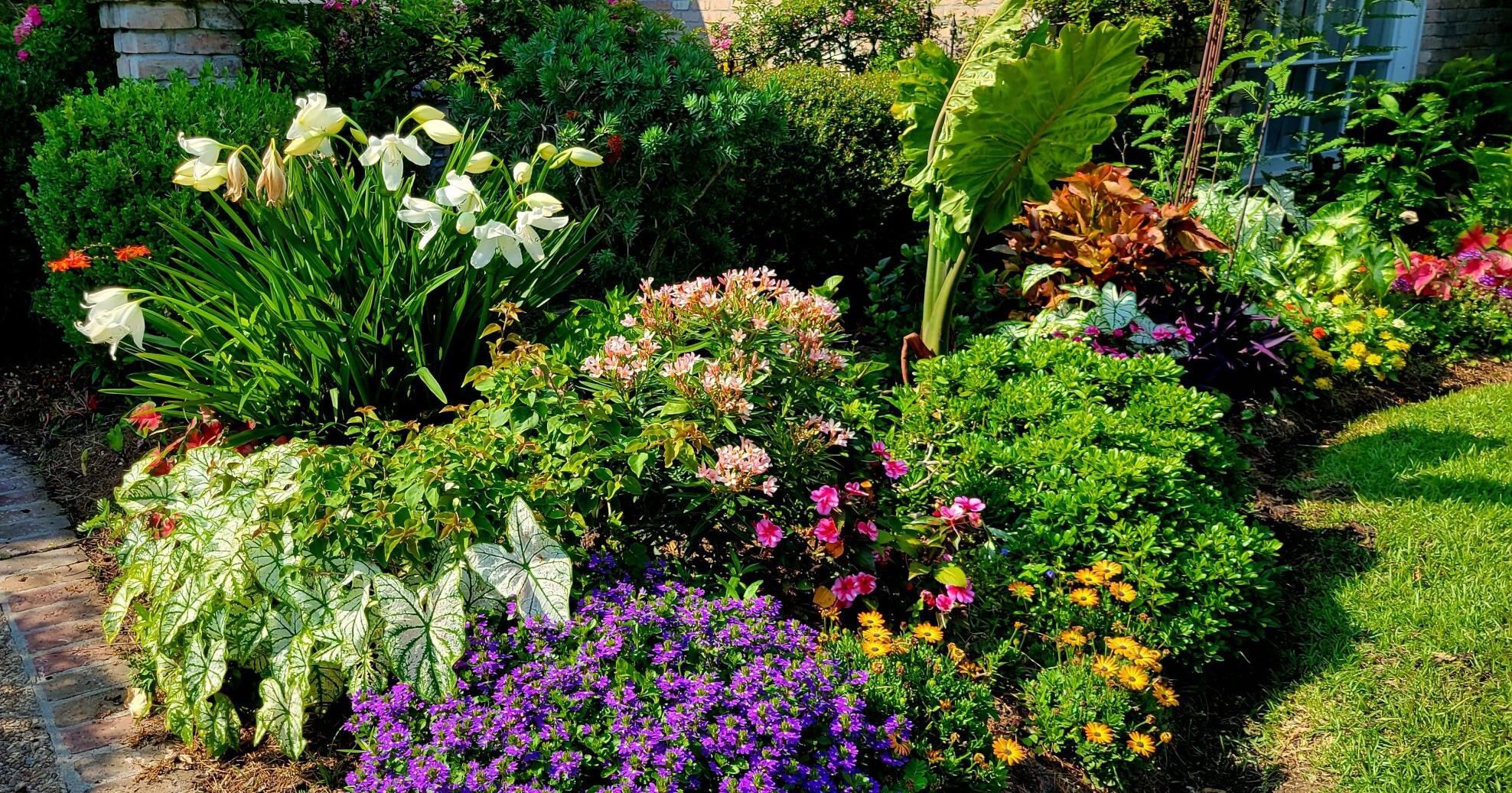 Annual Baton Rouge garden tour to get underway | Entertainment/Life - Vimarsana News