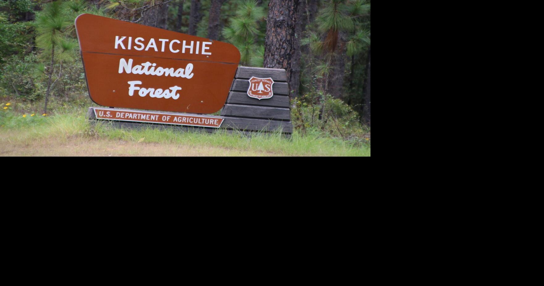 A plan to transfer part of Louisiana's only national forest drew outrage. What was behind it?