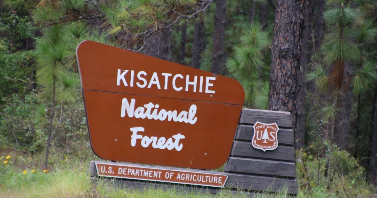 A plan to transfer part of Louisiana's only national forest drew outrage ...