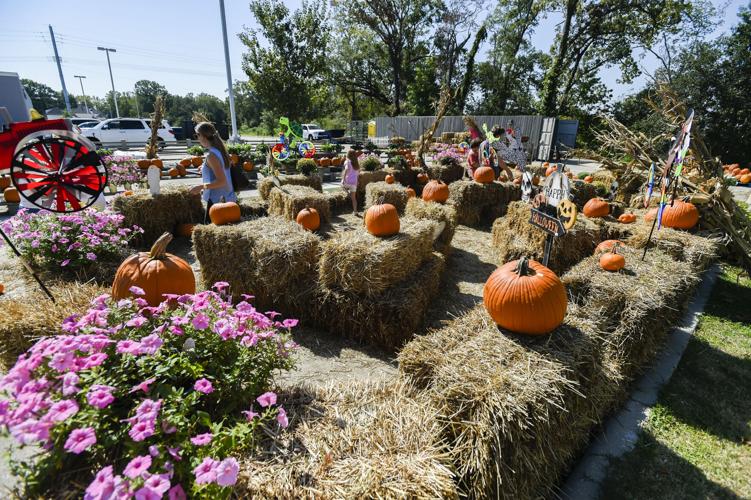 Lafayette Parish families, mayors prepare for trickortreating during