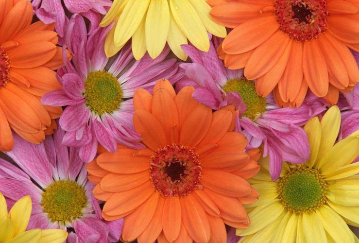 Baton Rouge area calendar for March 1117, 2016 Entertainment/Life