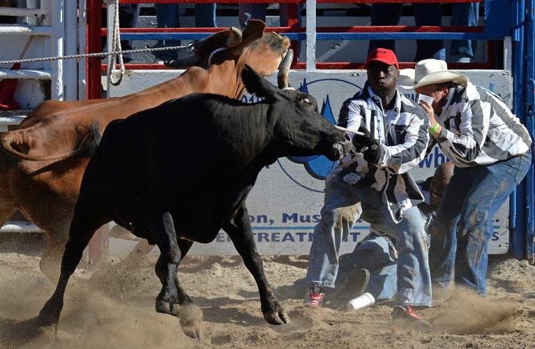 Photos: Dangerous cattle take on prisoners, prisoners show their rodeo ...