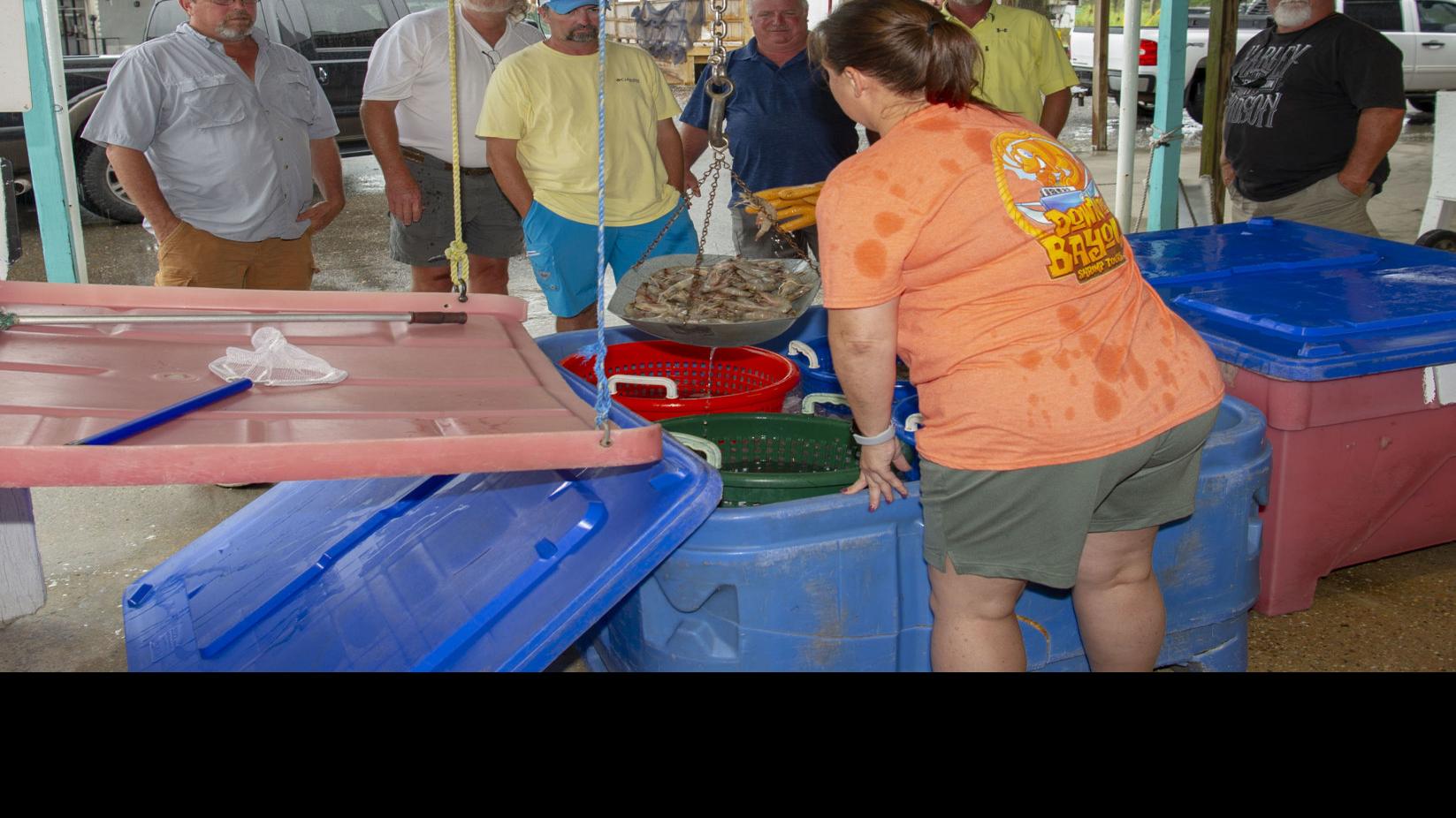Louisiana Fishermen Sell Directly To Survive Hoping For Boost From Restaurant Menu Labeling Law Business Theadvocate Com If you want to be in this business, you will never get a better deal. louisiana fishermen sell directly to